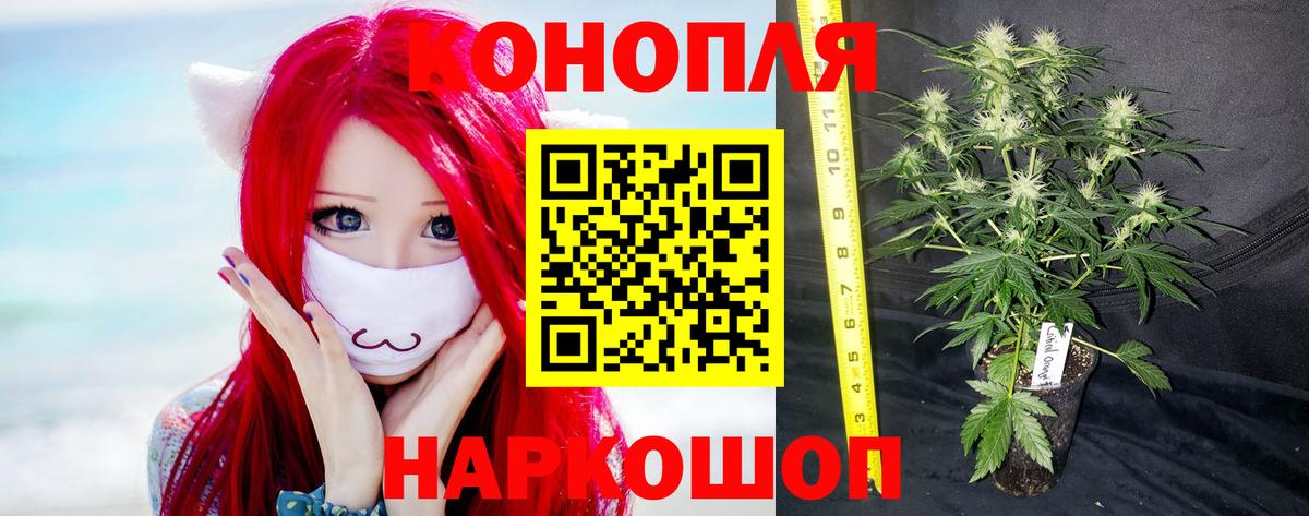 Алапаевск  Марихуана White Widow  Вход с VPN  Каннабис SATIVA & INDICA 